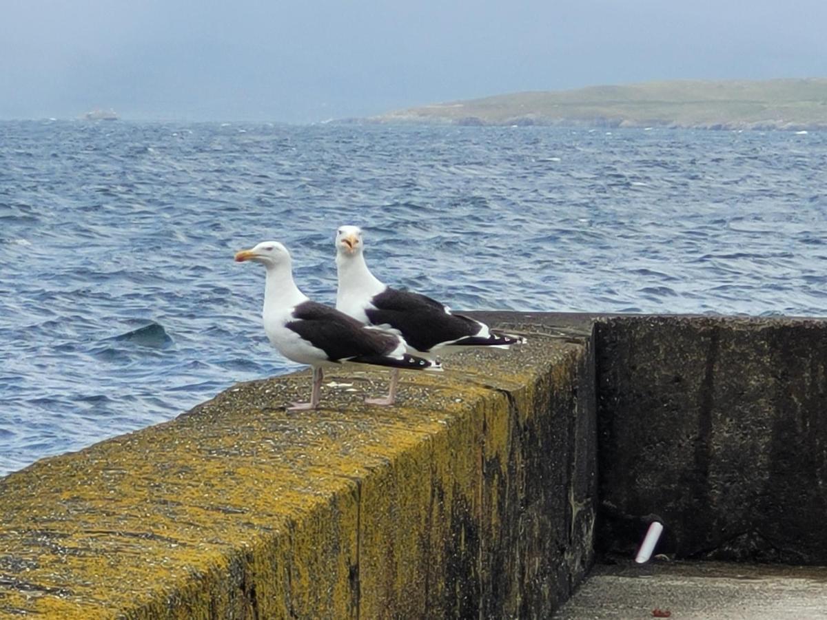 Anam Sona SeaView B&B Caherkeen Exterior foto